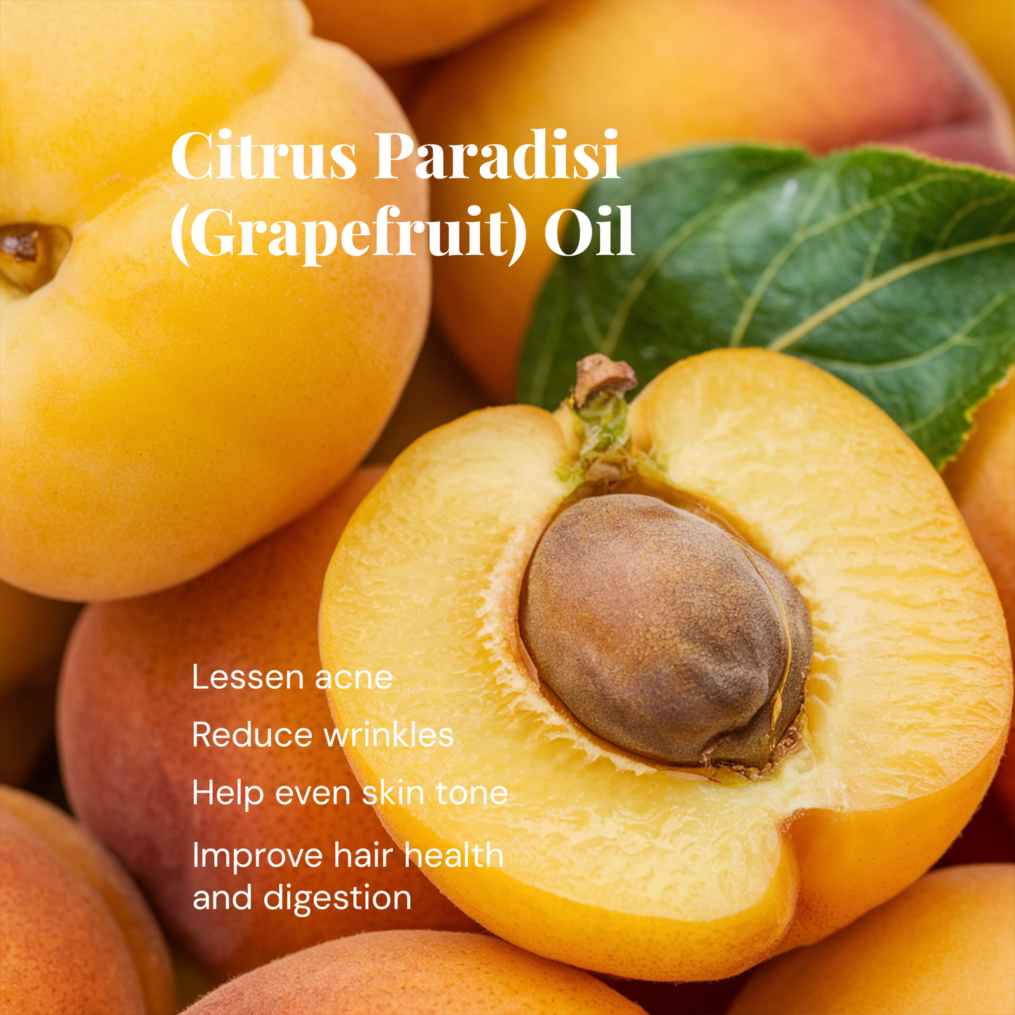 Daily Repair Crème