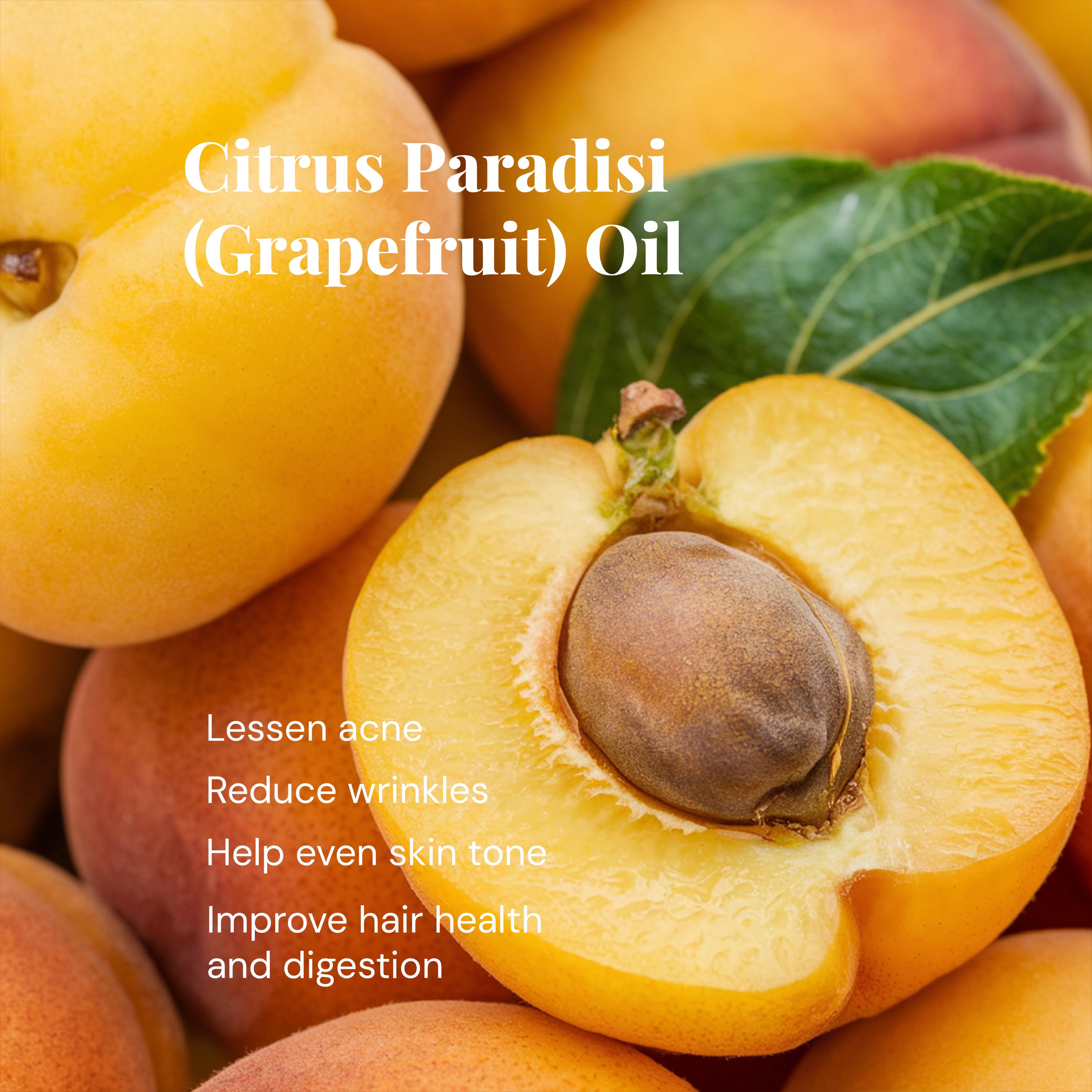 Daily Repair Crème