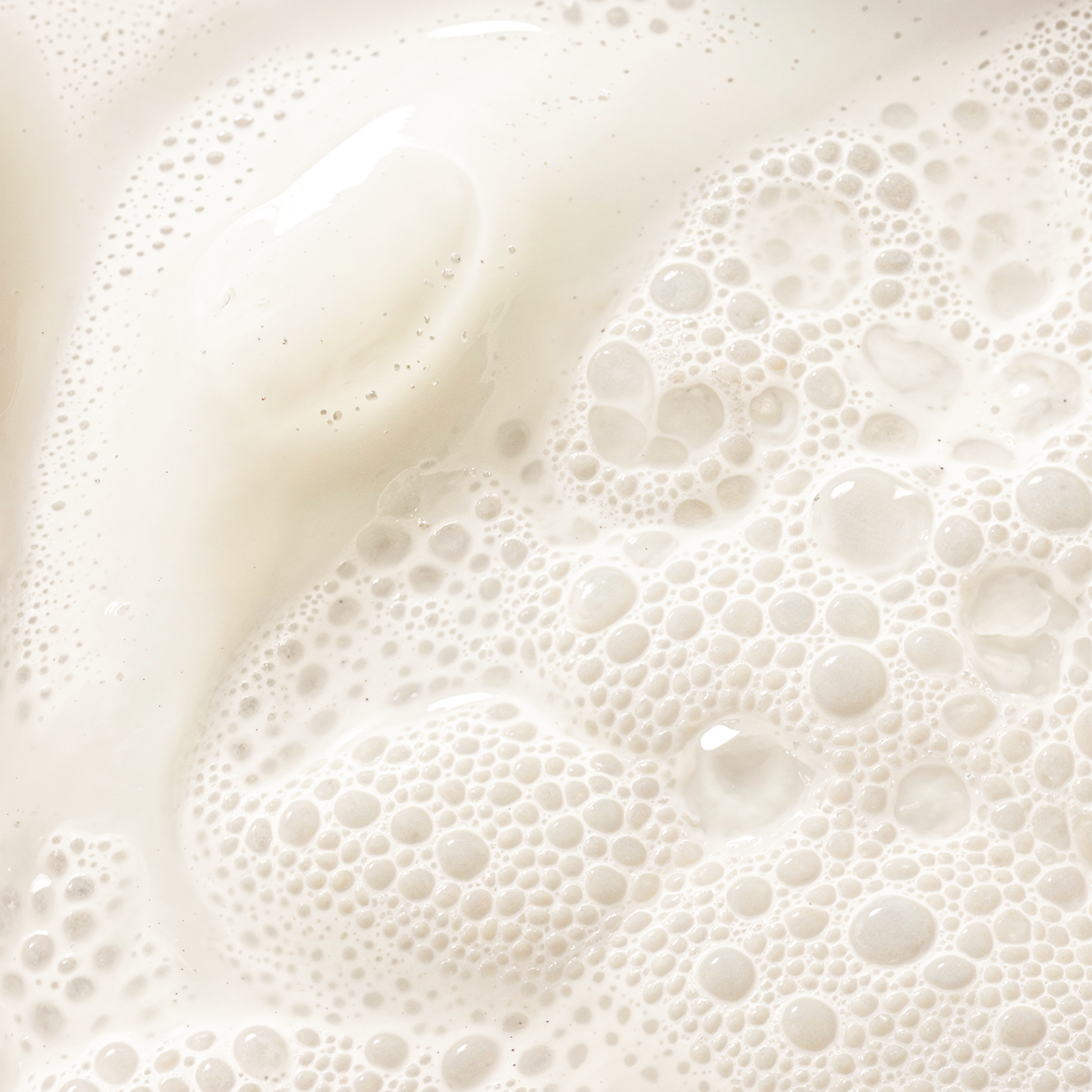 Purifying Foam Cleanser